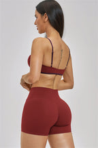 The New Seraphine Sports Bra