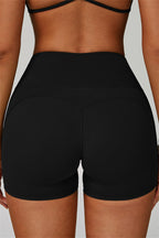 The Bold Shorts