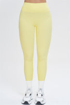The New Isabella Leggings